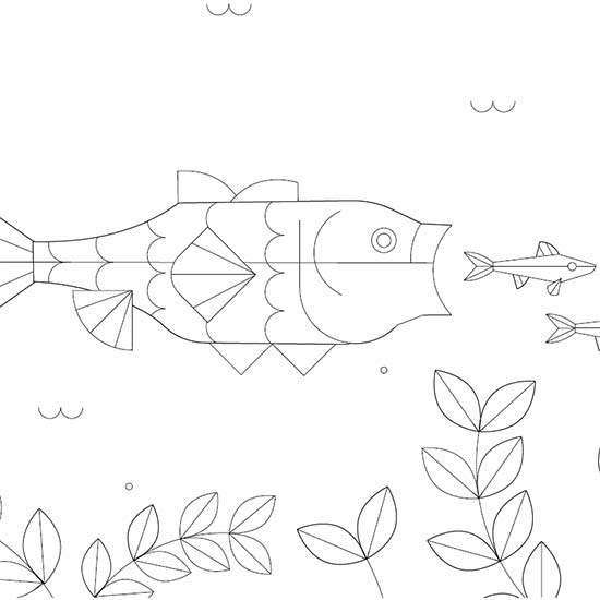 Color Me Fish by takemefishing.org