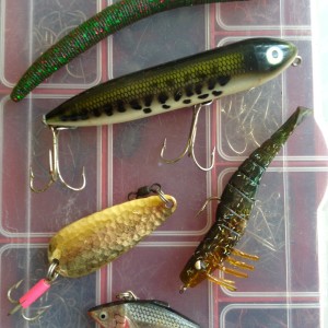 5 Secrets to Know When Using Artificial Bait - Take Me Fishing
