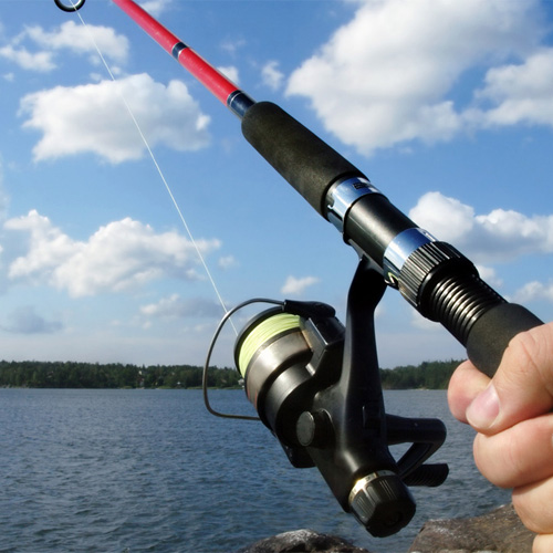 Get a DC Fishing License