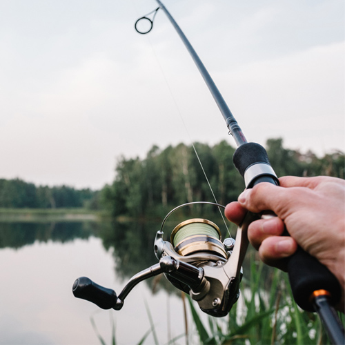 Easy & effective setup for general freshwater fishing : r/Fishing
