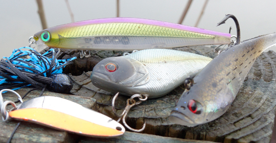 A WV tournament angler's top lures for early season bass