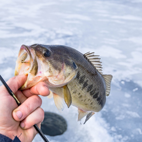 How to Start Ice Fishing in 8 Easy Steps - Take Me Fishing