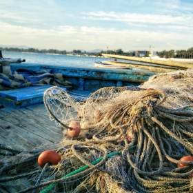 consequences of Illegal Fishing Methods 