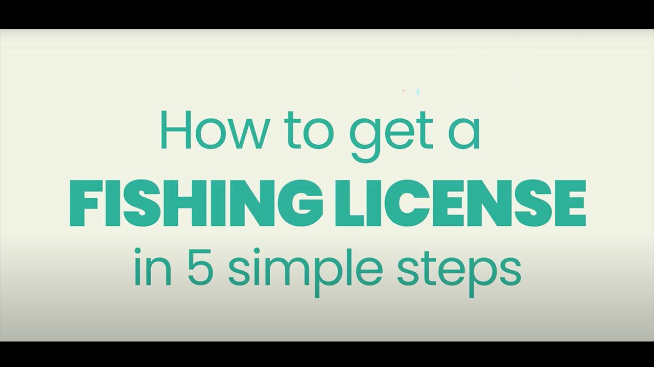 How to get a Fishing License in 5 simple steps