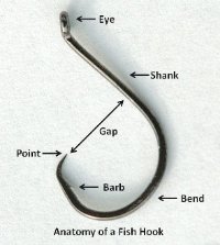 Circle Hooks - What, When, Where And Most Importantly, Why