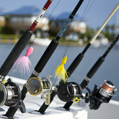 Fishing Gears & Accessories