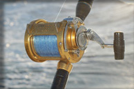 Seafishing Tackle