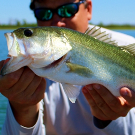 angler following texas freshwater fish limits